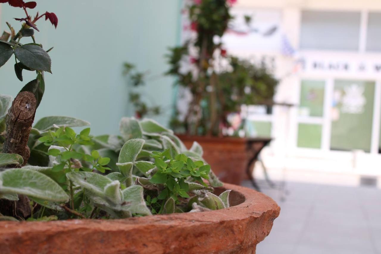 Katsikantaris Homes Paphos Eksteriør bilde